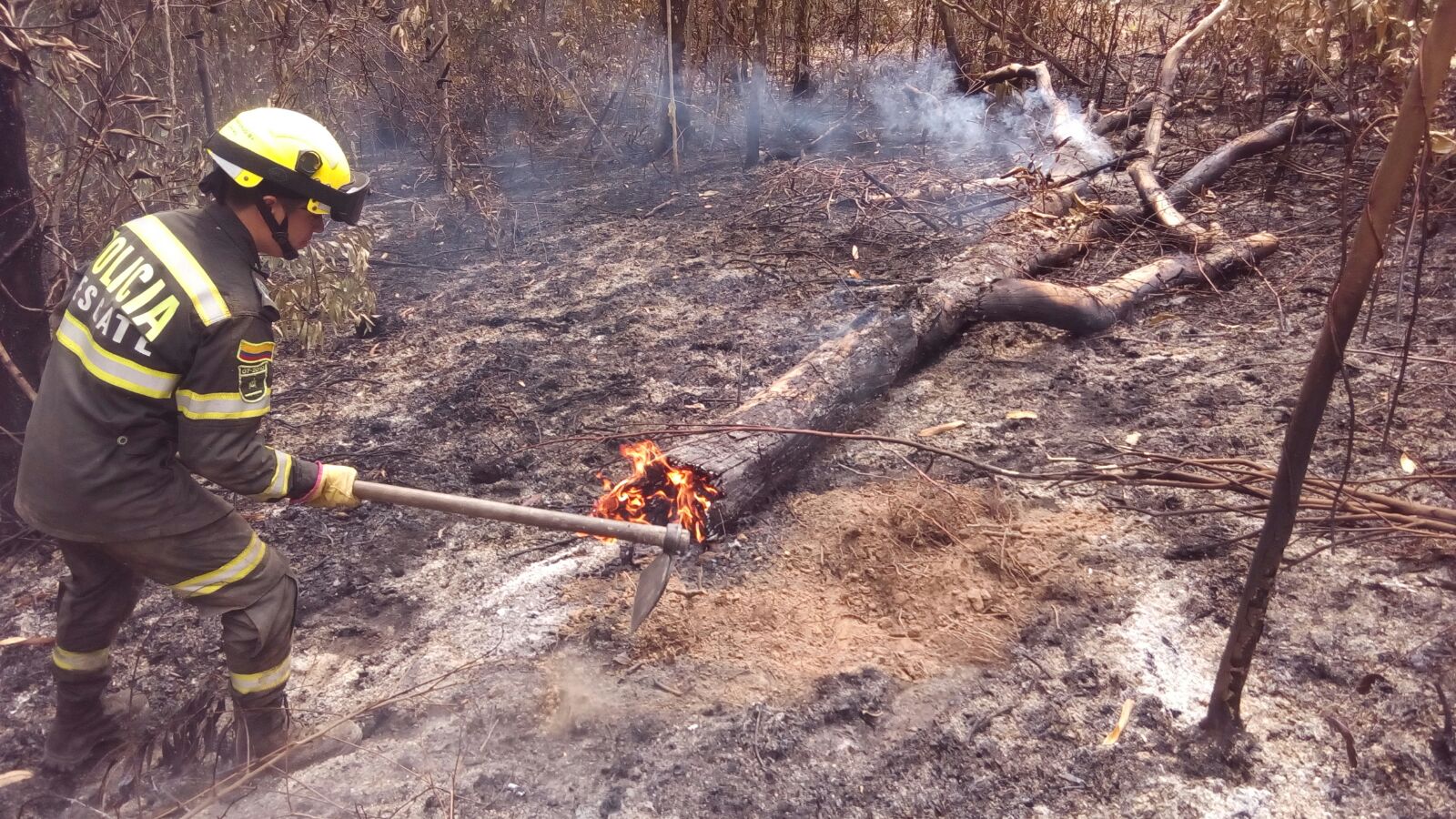 La Policía Nacional en Santander lidera campaña contra incendios forestales