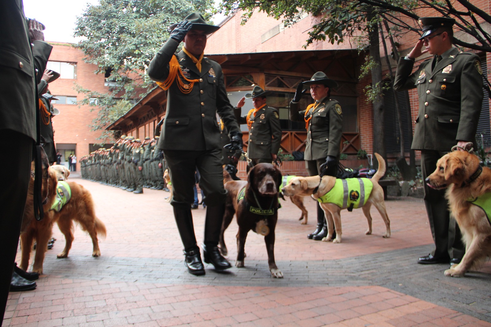 policia-nacional-realiza-homenaje-a-un-canino