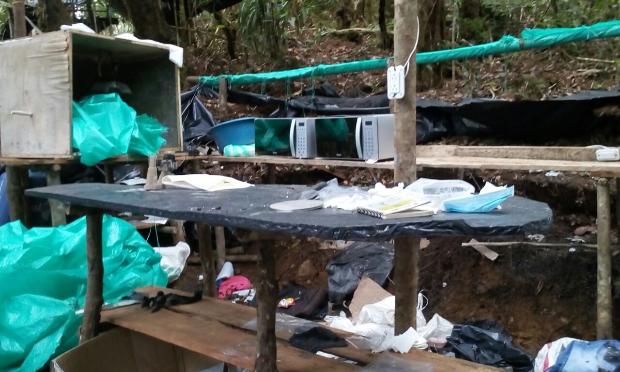 Destruido laboratorio para el procesamiento de cocaína en Boyacá 