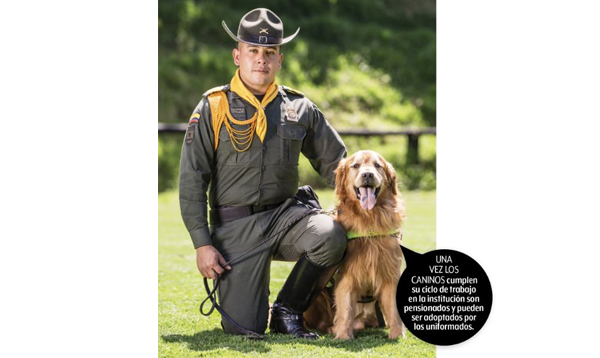 los-peludos-que-protegen-al-pais-policia-carabineros