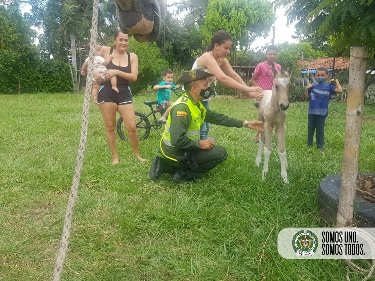 Nacimiento de un hermoso potro colorado