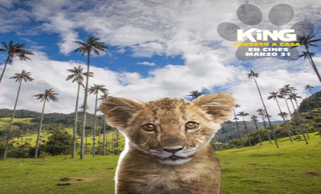  Gran estreno de la película 'King'