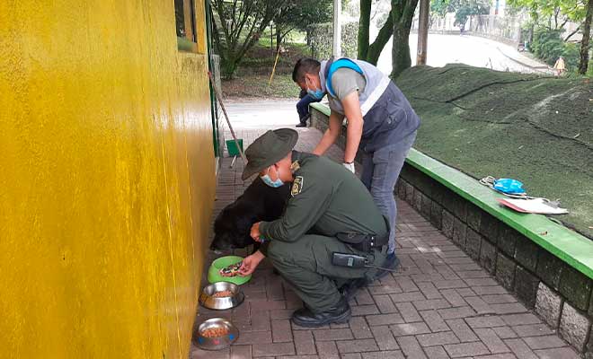 policía alimentando a perro