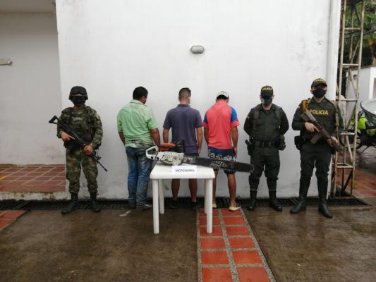 Policía-Nacional-materializó-tres-capturas-por-la-tala-indiscriminada-de-árboles-nativos-en-el-Meta