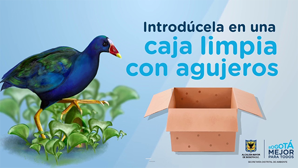 policia-proteccion-tingua-azul