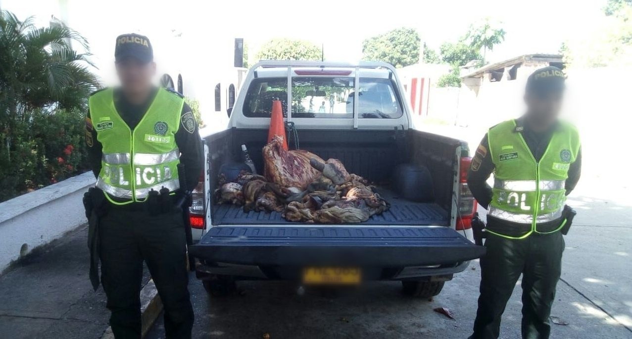 decomiso-carne de res-codigo de policia y convivencia-ambiental-sanitario-tenerife-corpamag