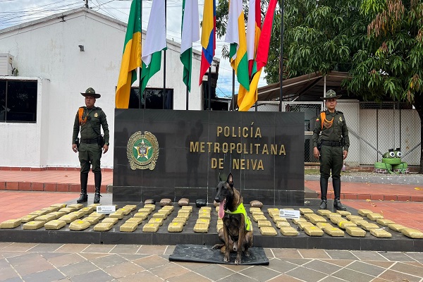 Dos Policía y un canino ODHIL incauta 97 paquetes de marihuana