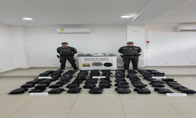Exhibición de marihuana incautada por las autoridades en operativo de control.