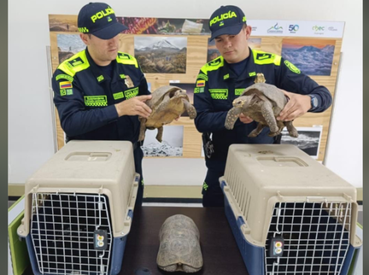 Reafirmamos nuestro compromiso con la protección de los animales