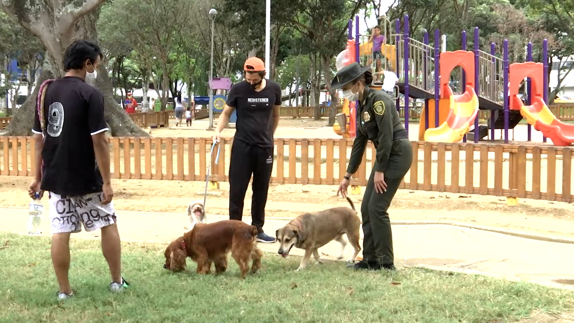 Recomendaciones  para nuestras mascotas en Halloween 1