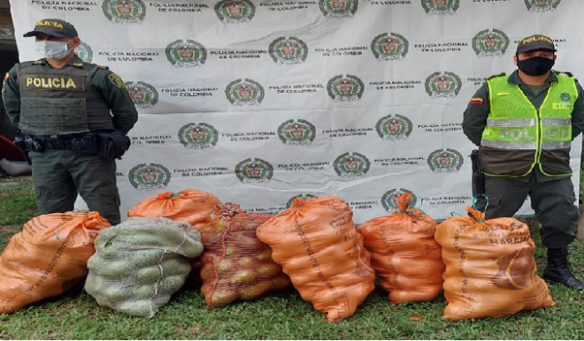 Se logra la recuperación de productos agrícolas en el Quindío 