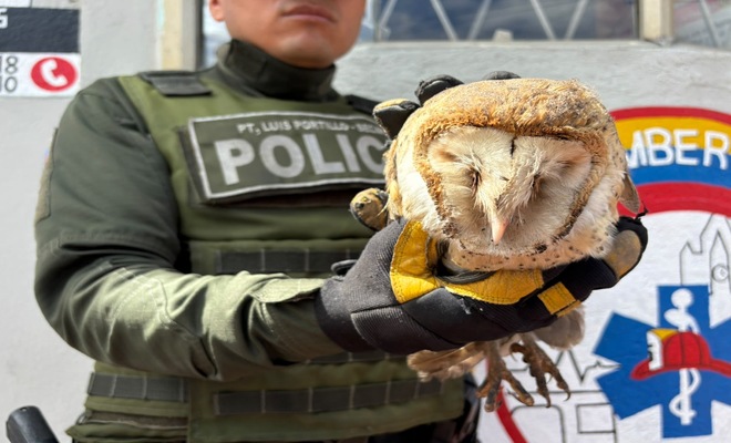 Un Policía con una lechuza en sus manos la cual fue rescatada 