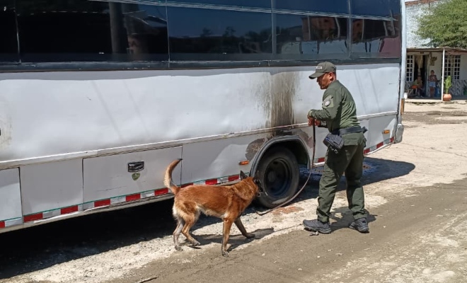 perro policia vehiculo tipo bus