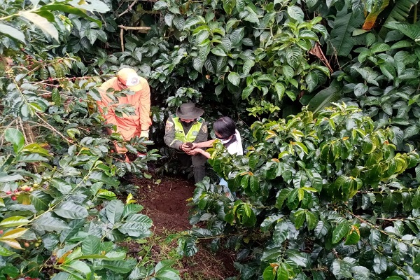 Conmemoramos nuestro aniversario con una siembra de árboles