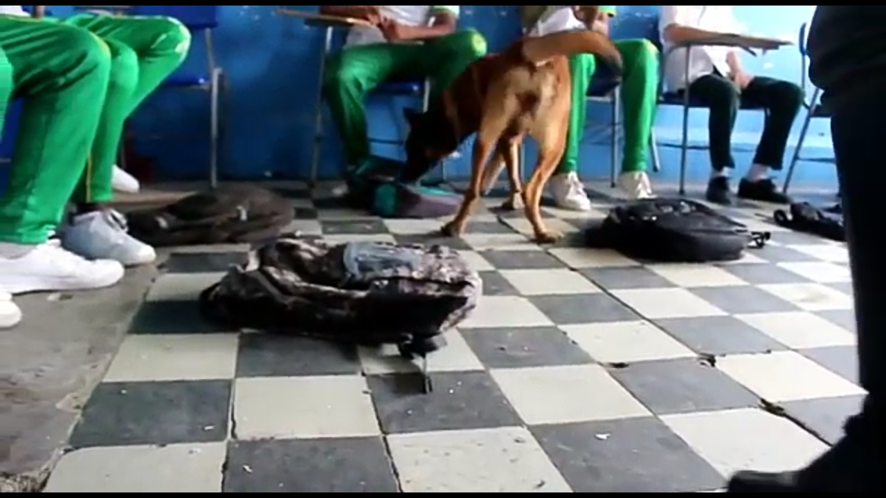 Policía-de-protección-a-la-infancia-y-adolescencia-se-tomó-colegios-en-Quibdó