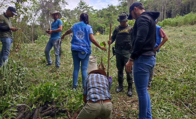 Trabajo con las Naciones Unidas den Colombia