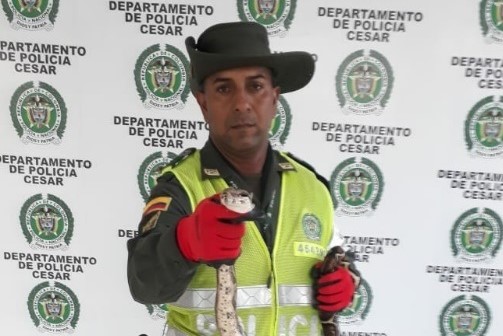 Tres-especies-silvestres-fueron-rescatadas-3