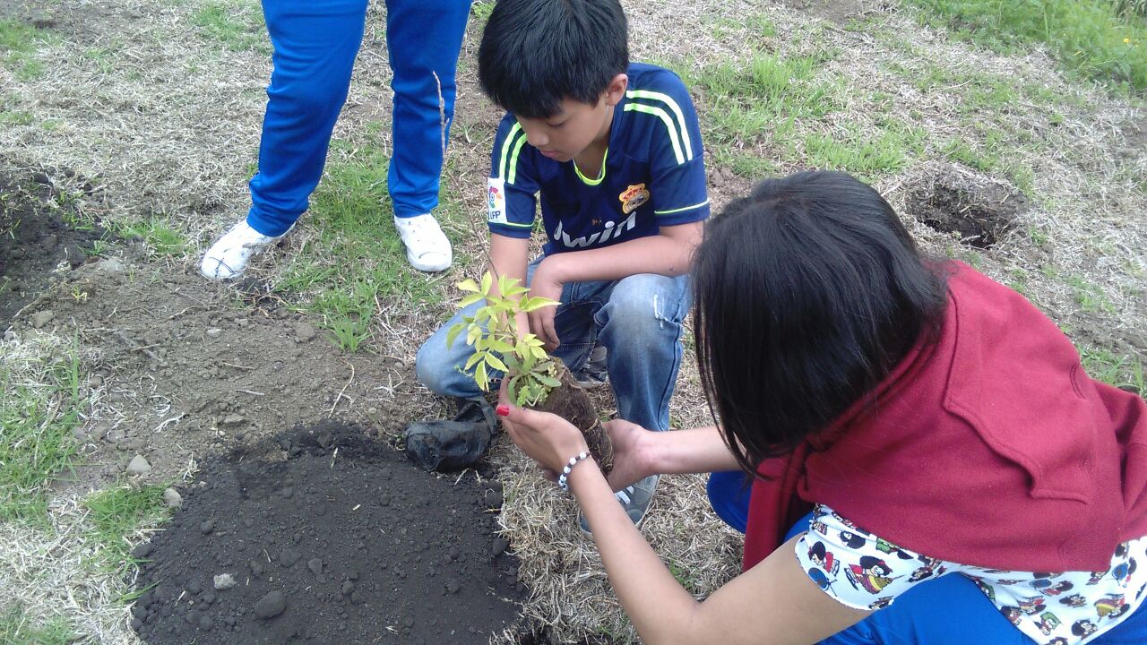 Con mucho cariño los niños sembraron un árbol aprendiendo a cuidar el medio ambiente 