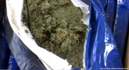 marihuana_manizales