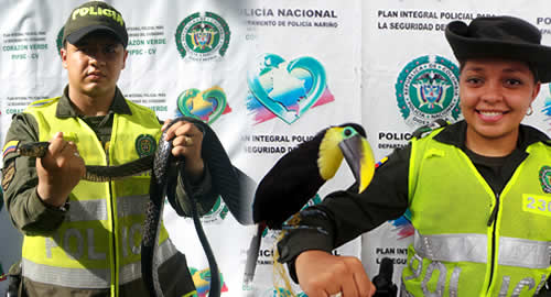 rescatamos-dos-especies-silvestres