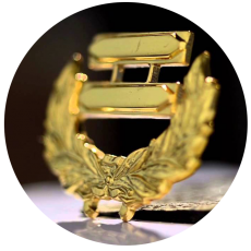 Diplomado en Gestión Estratégica del Servicio de Policía (Tenientes Coroneles que ascenderán a Coroneles)